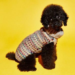 Ware of the Dog ethically made sweater on a small black poodle looking off to the left.