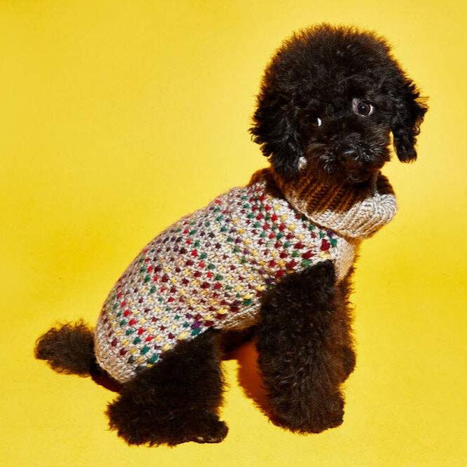 Ware of the Dog ethically made sweater on a small black poodle looking off to the left.