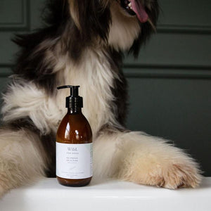 Dog in the Bath with Natural Organic Calming Dog Shampoo by Wild for Dogs